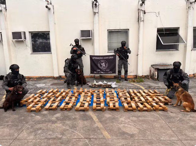 Polícia. Cães da Polícia Militar apreendeu uma tonelada de maconha em uma escola municipal no Complexo da Maré.