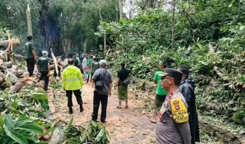 Árvore. A queda de uma grande árvore resultou na morte de duas turistas no santuário de macacos, em Bali, na Indonésia.