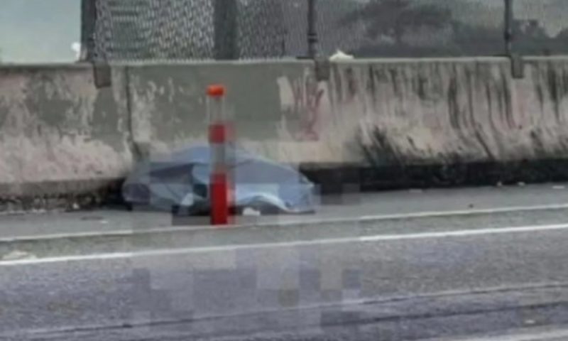 atropelado na BR-101