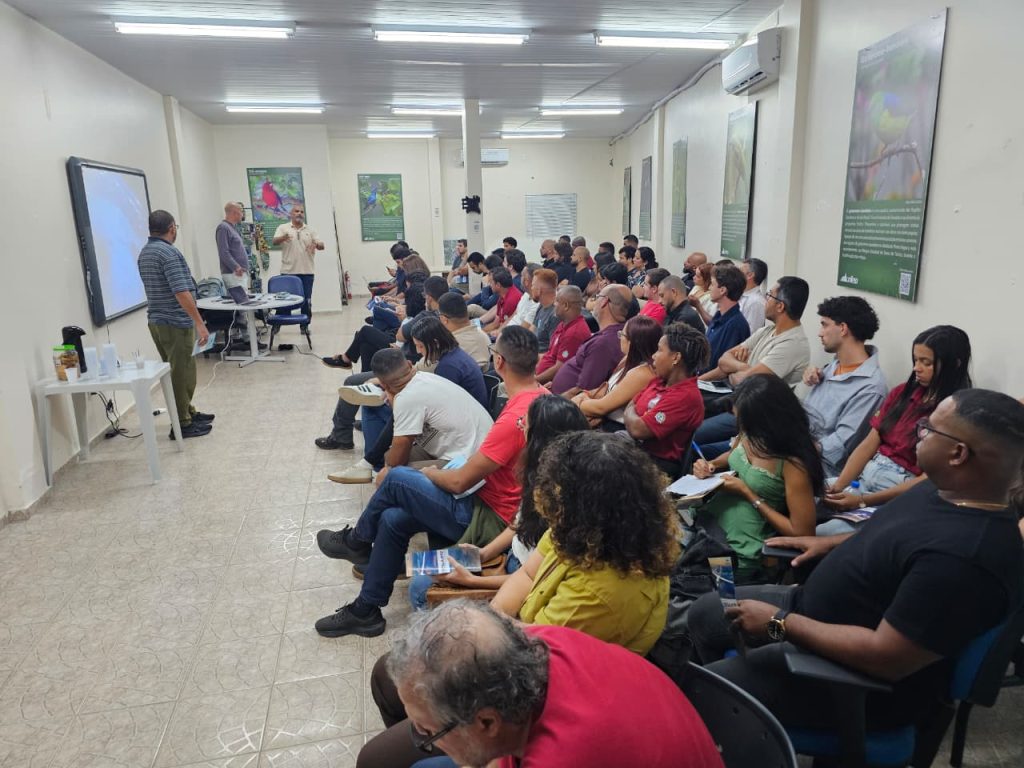 Foto: Divulgação


