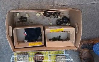 16032026_115505apreensão4