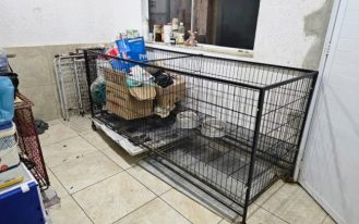 29012026_115941canil