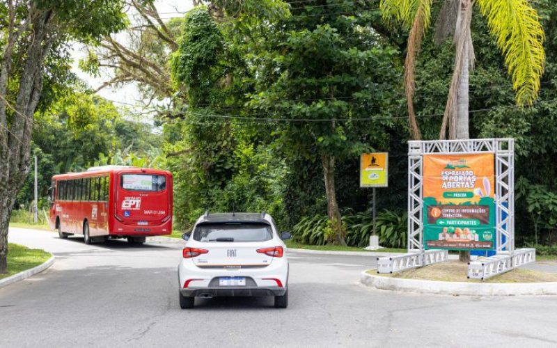 53638001701_03f64505c1_o-scaled