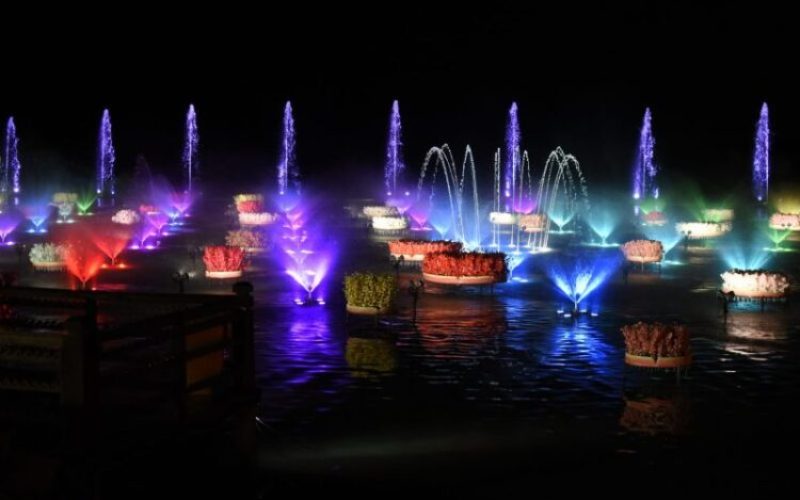 54207102148_72f1d26c5d_o-1536×1024 54207102148_72f1d26c5d_o-1536x1024