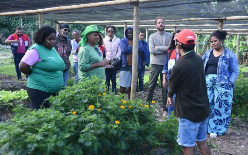 54689764411_11a5ba95ea_k