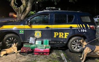 808ebe7b-2720-4d99-b4c8-3a2c109bee77