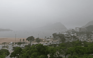 Captura de tela 2024-11-13 110329