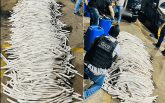 Captura de tela 2024-12-05 105136