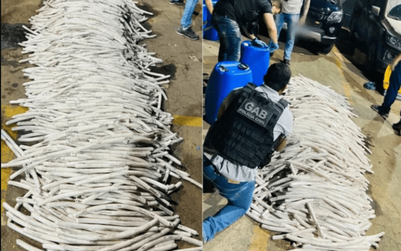 Captura de tela 2024-12-05 105136