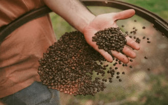 Captura de tela 2024-12-13 184928