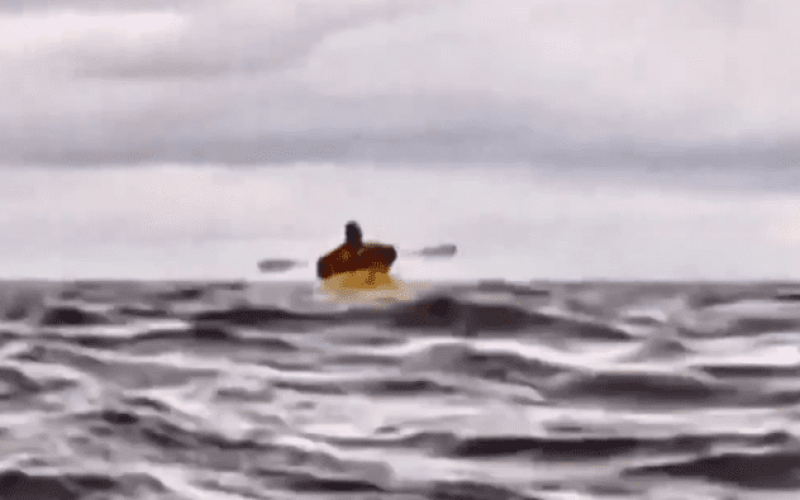 Captura de tela 2025-02-13 180350