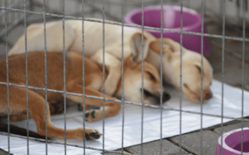 FOTO PARA SITE MODELO (1)