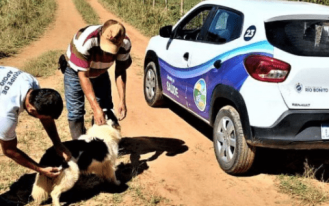 FOTO PARA SITE MODELO (14)