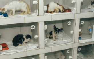 FOTO PARA SITE MODELO (5)