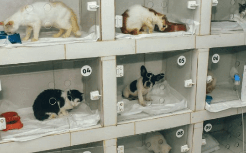 FOTO PARA SITE MODELO (5)