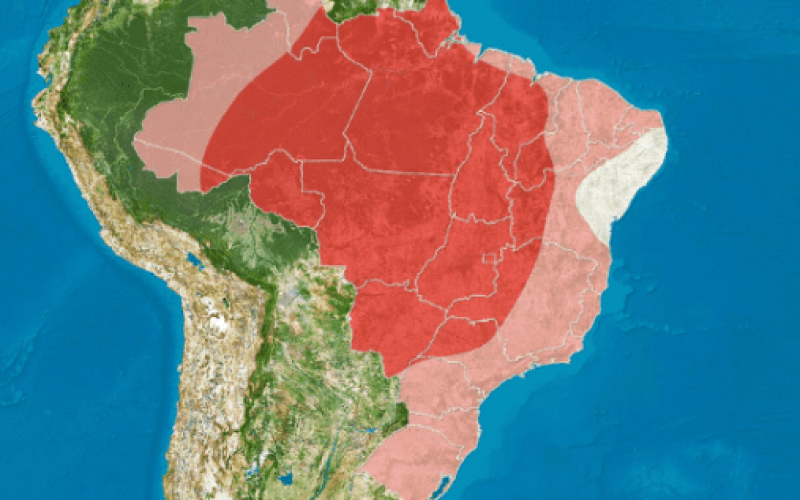 FOTO PARA SITE MODELO