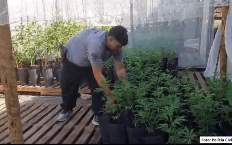 Foto Wander Roberto (855 × 513 px) (5)