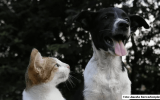 Foto Wander Roberto (855 × 513 px)