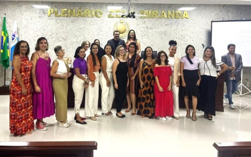 Novas-Conselhos-dos-Direitos-da-Mulher