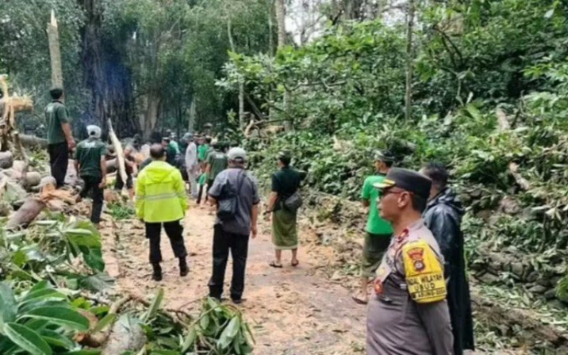 Screenshot_1 Screenshot_1