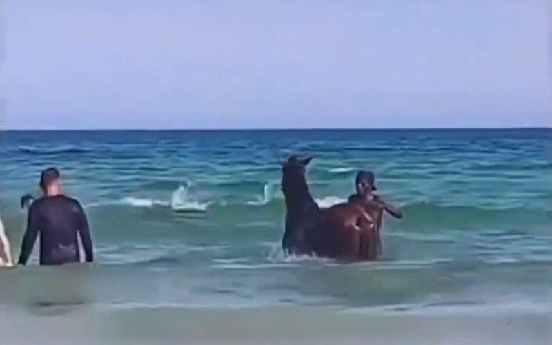 Screenshot_2 Screenshot_2