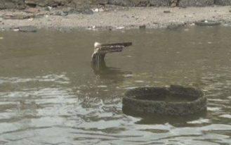 Foto: Reprodução/TV Globo