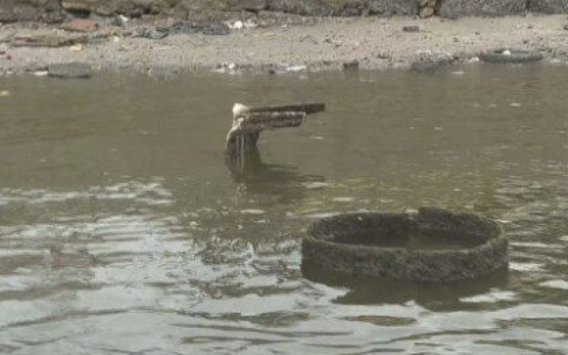 Foto: Reprodução/TV Globo