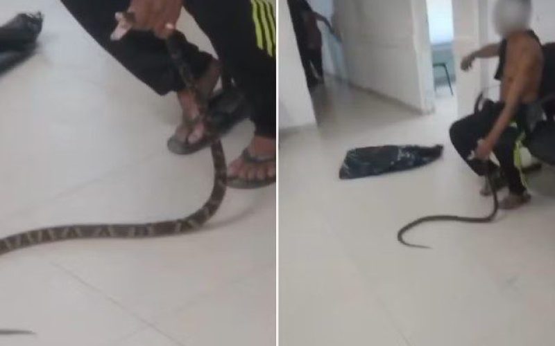 Screenshot_4 Screenshot_4