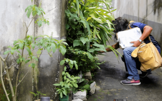 UpscaleImage_5_20240229