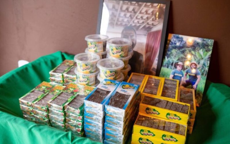 Visita-ao-Sitio-BAOBA-67-scaled