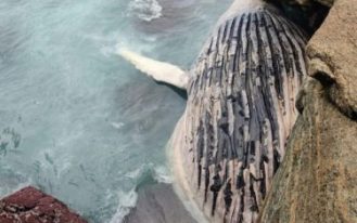 WhatsApp-Image-2023-07-20-at-21.04.01-1-768x1024