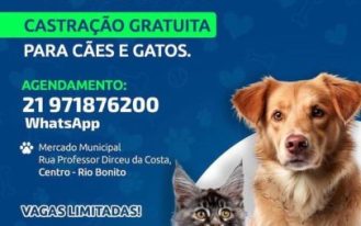 WhatsApp Image 2023-10-19 at 16.20.32