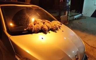 WhatsApp Image 2023-12-11 at 10.18.07