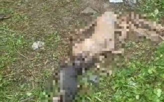 WhatsApp Image 2023-12-12 at 11.23.41