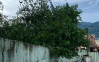 WhatsApp Image 2024-01-11 at 17.40.28