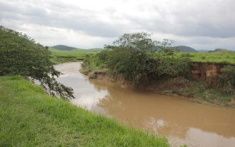 WhatsApp Image 2024-02-01 at 17.15.47