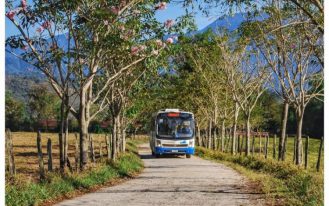 WhatsApp Image 2025-02-12 at 16.34.00