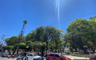 WhatsApp Image 2025-02-19 at 14.44.45