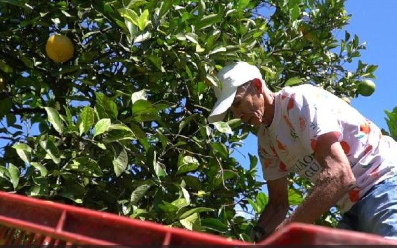 WhatsApp Image 2025-02-26 at 10.40.28