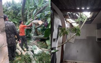 WhatsApp Image 2025-04-05 at 16.55.55