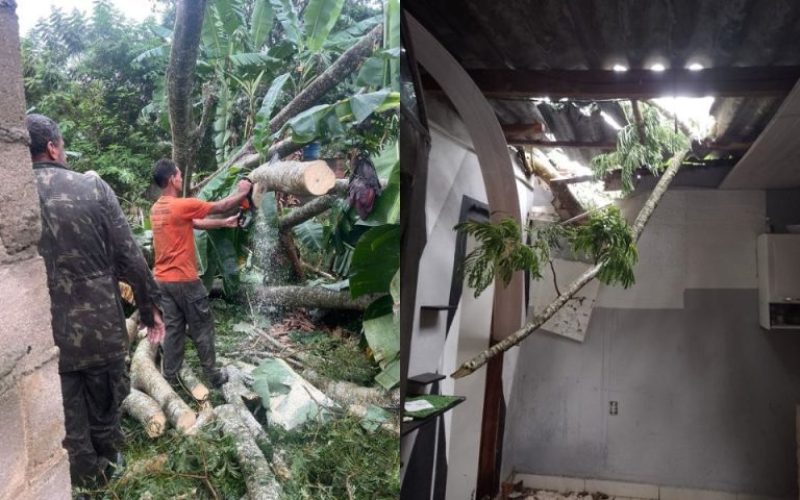 WhatsApp Image 2025-04-05 at 16.55.55