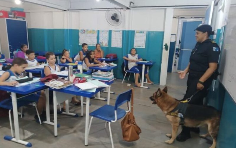 WhatsApp Image 2025-04-07 at 17.22.48 (1)