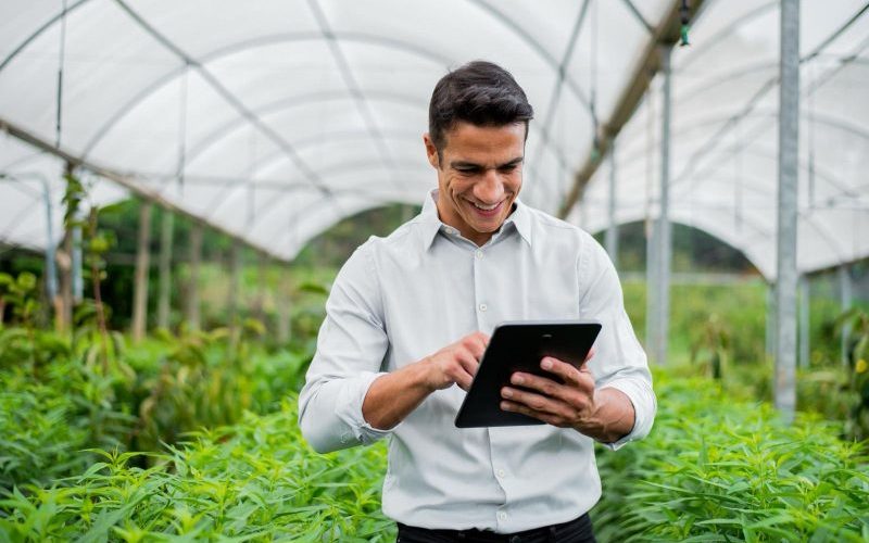 WhatsApp Image 2025-10-29 at 15.36.01 Foto: Divulgação