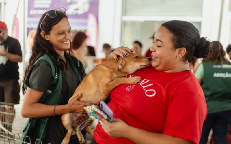 Foto: Thamyris Mello