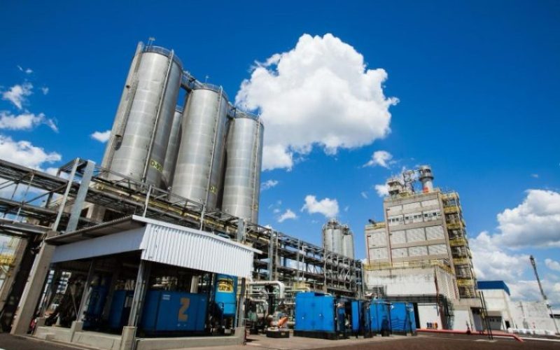 WhatsApp Image 2026-03-27 at 17.16.43