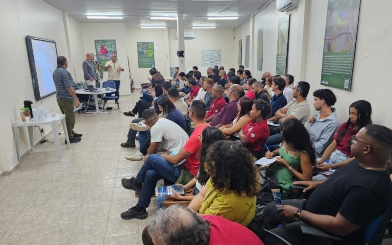 Foto: Divulgação