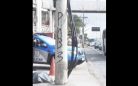 assalto onibus