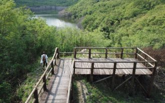 cad33099-c554-4341-9d62-90395cb385b0