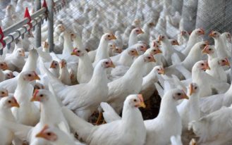 ebd0ebd0-a462-47ea-a370-5df5e3a4ec42