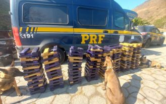 f9ec1473-3240-43e0-b6b3-14737f075b3a